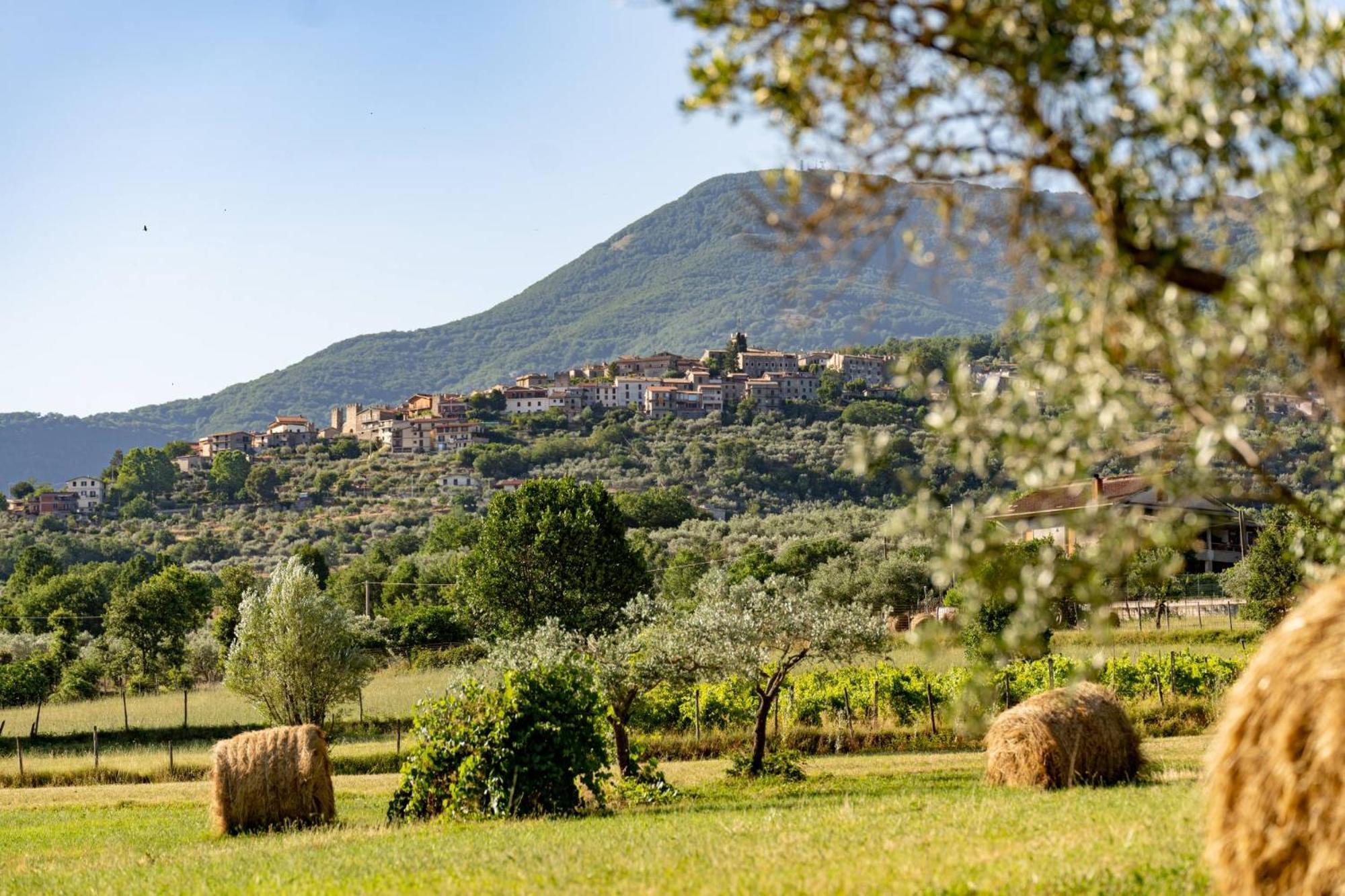 Vico nel Lazio B&B Vico Suites מראה חיצוני תמונה